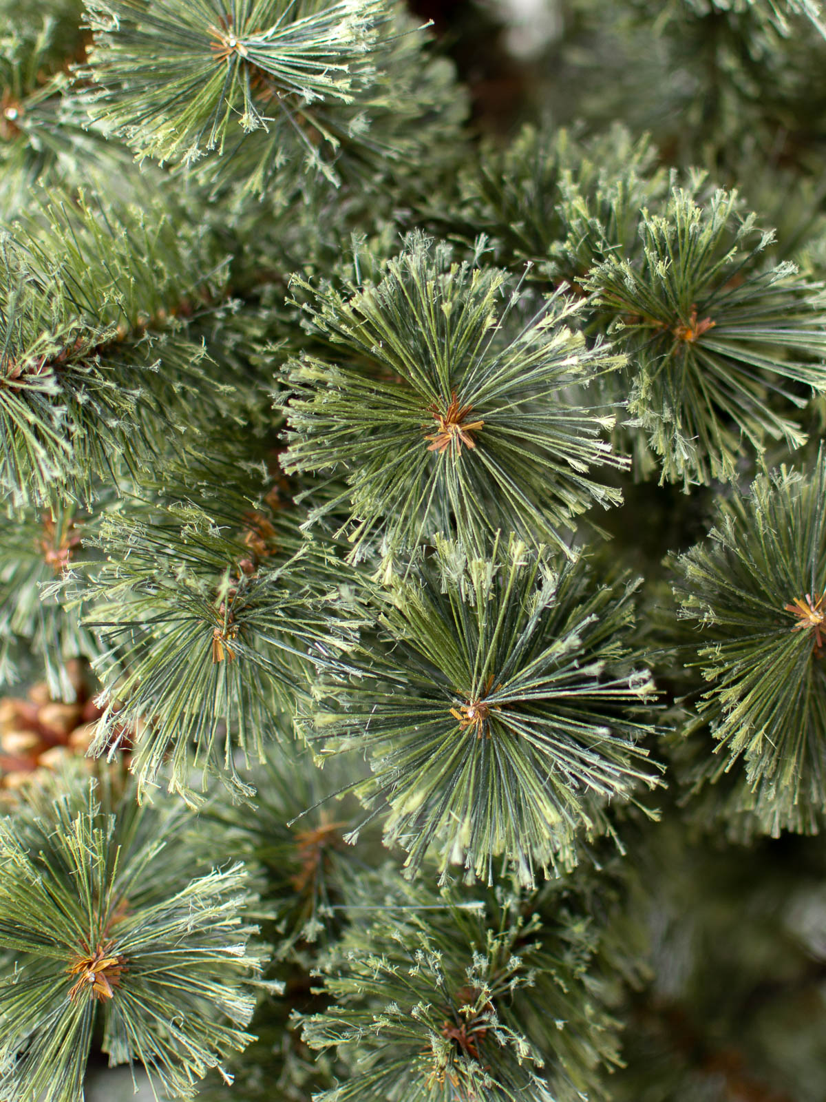 HUONE Christmas Tree 180cm