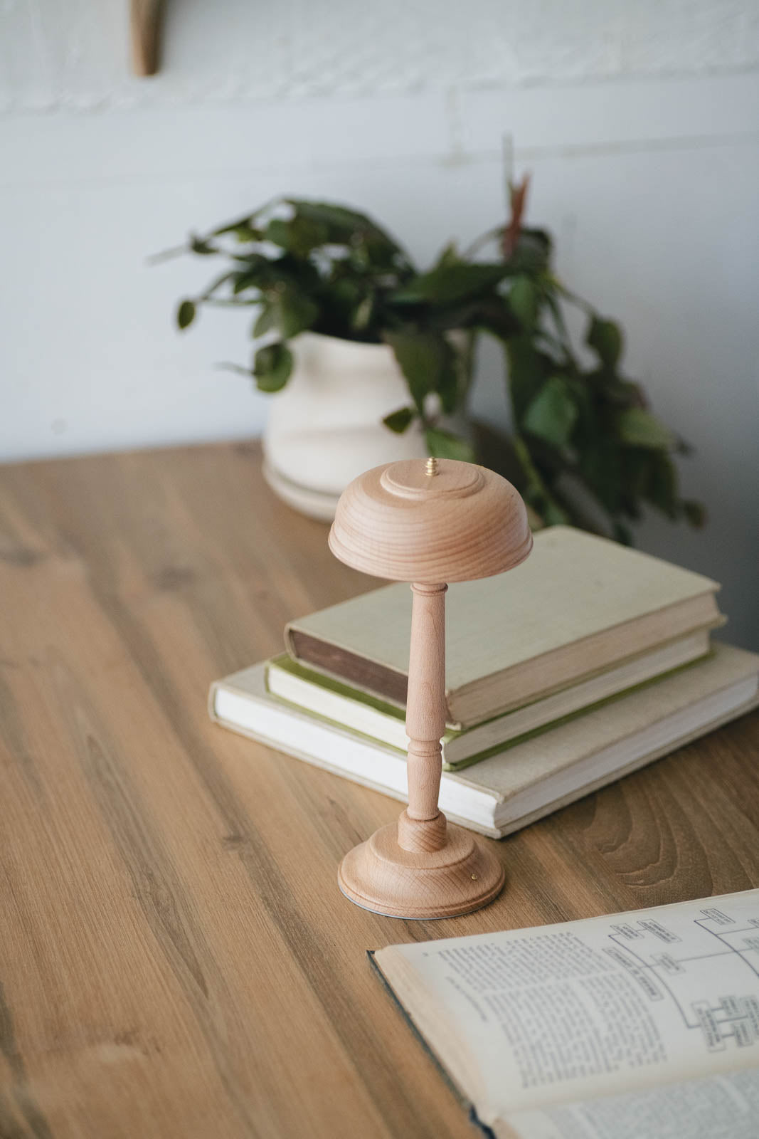 Lulla Portable Light