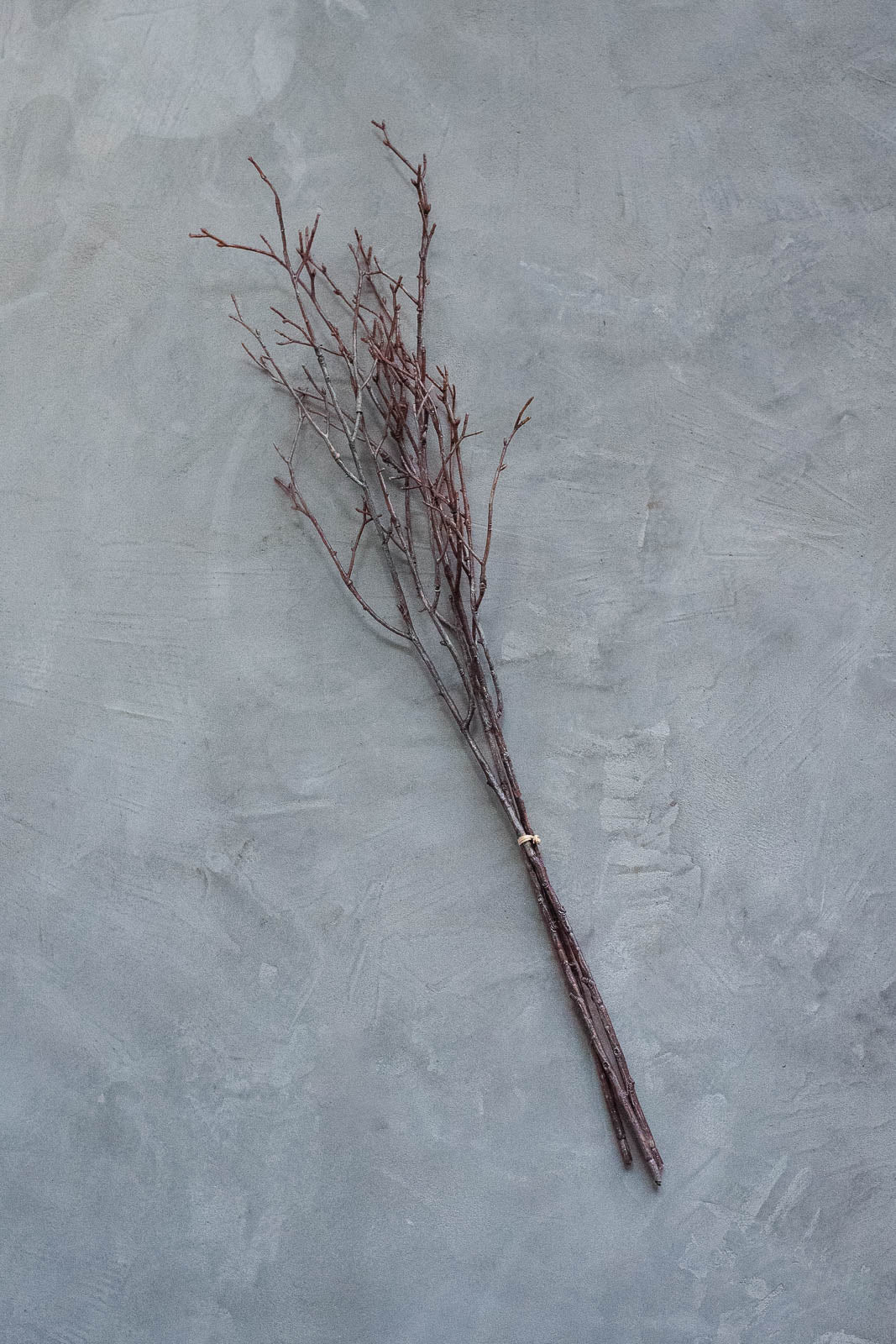 Birch Branches 75cm Natural Set of 3