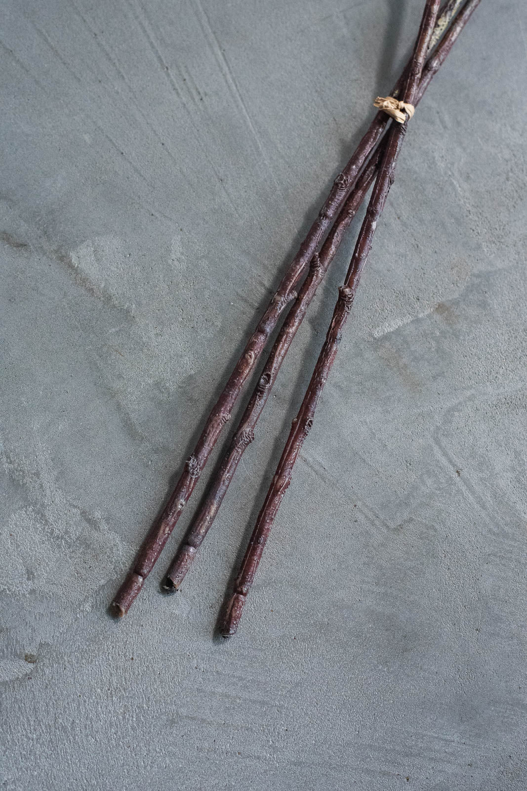 Birch Branches 75cm Natural Set of 3