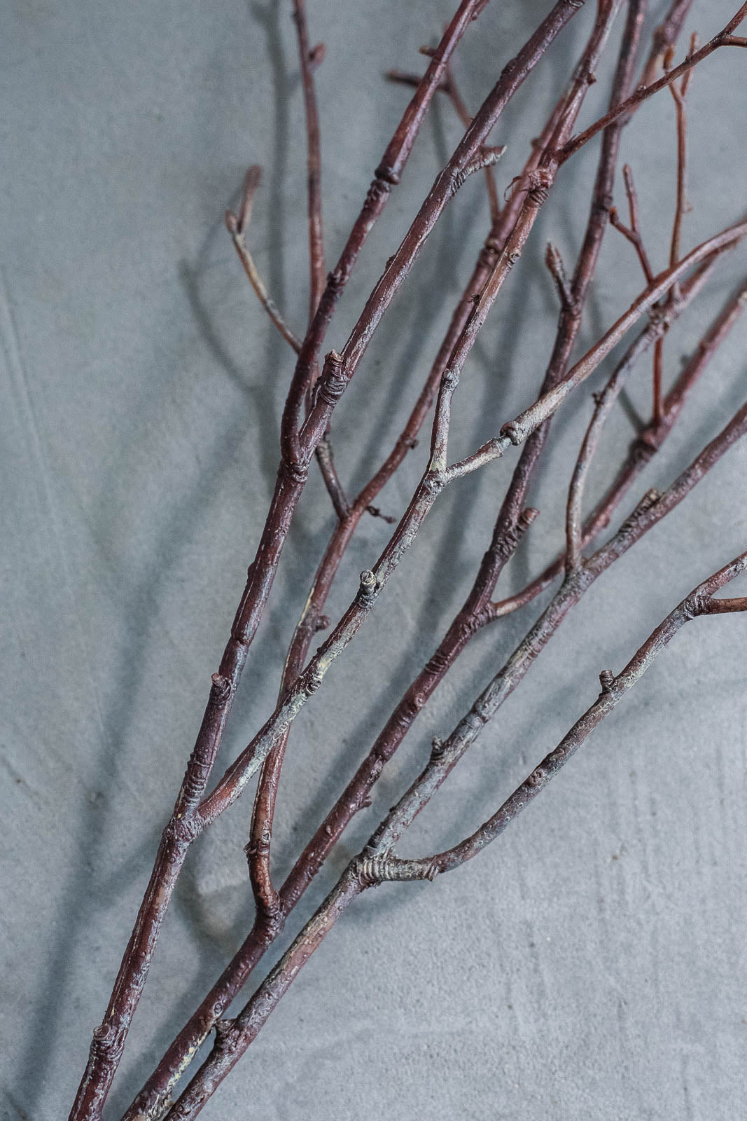 Birch Branches 75cm Natural Set of 3