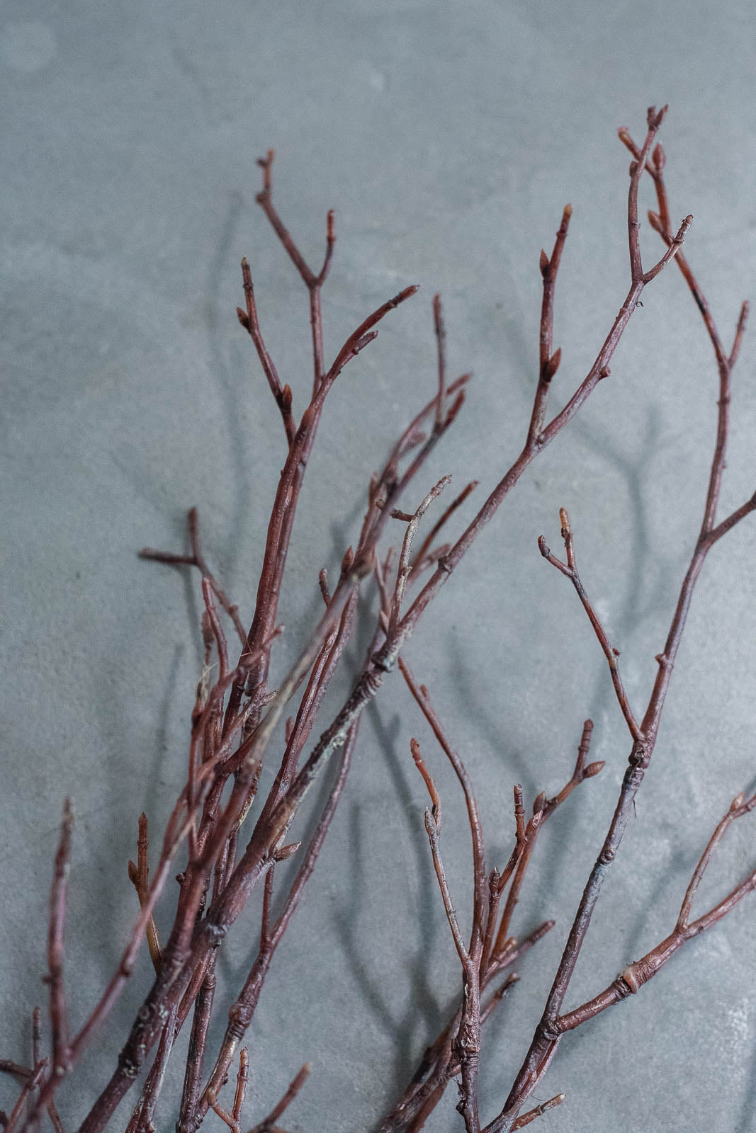Birch Branches 75cm Natural Set of 3