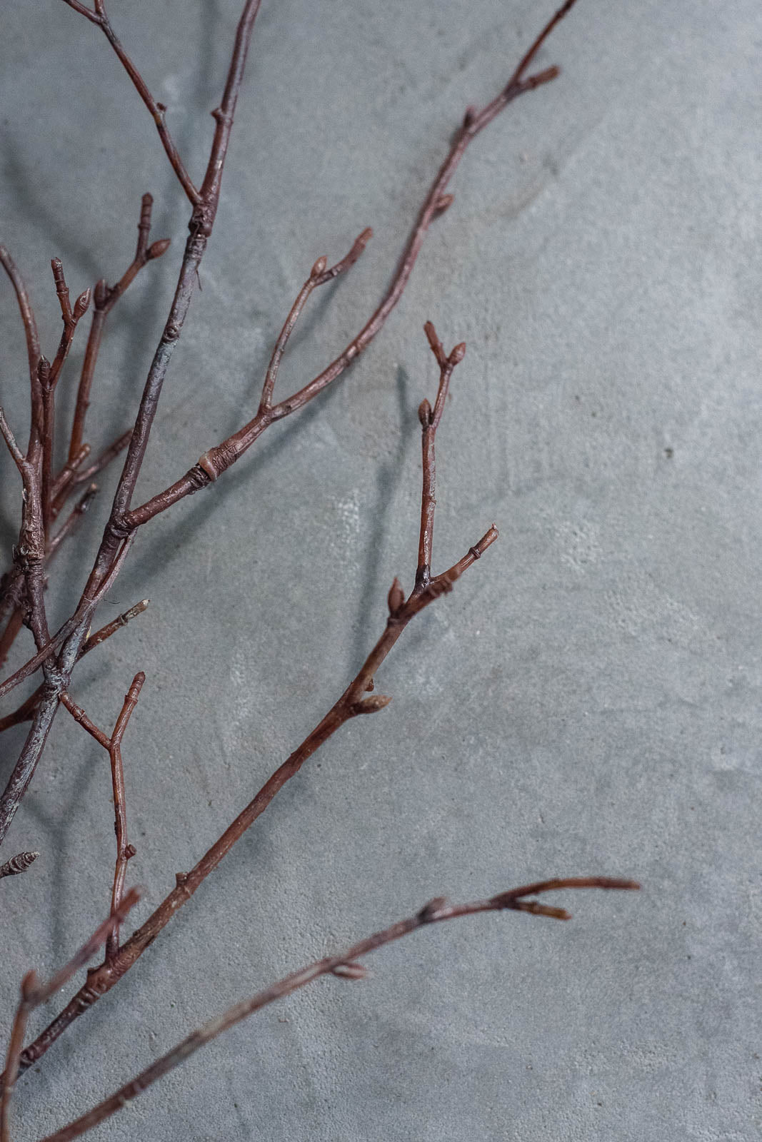 Birch Branches 75cm Natural Set of 3