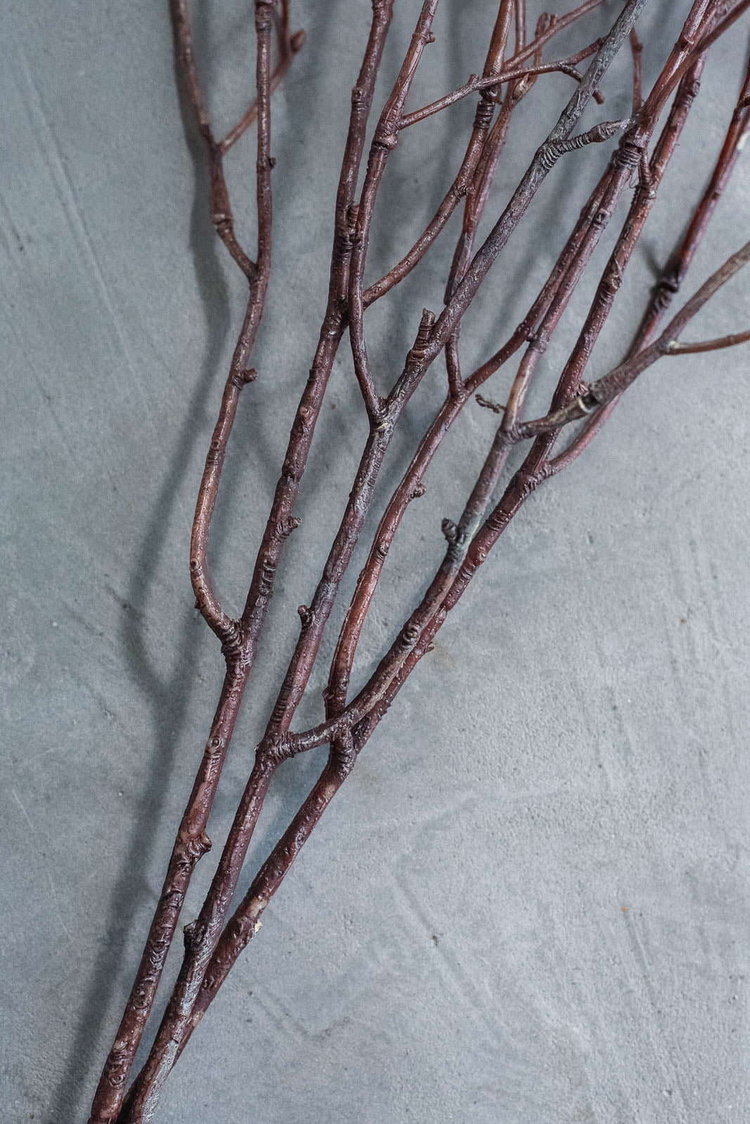 Birch Branches 75cm Natural Set of 3