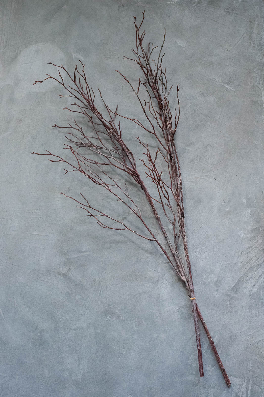 Birch Branches 100cm Natural Set of 2