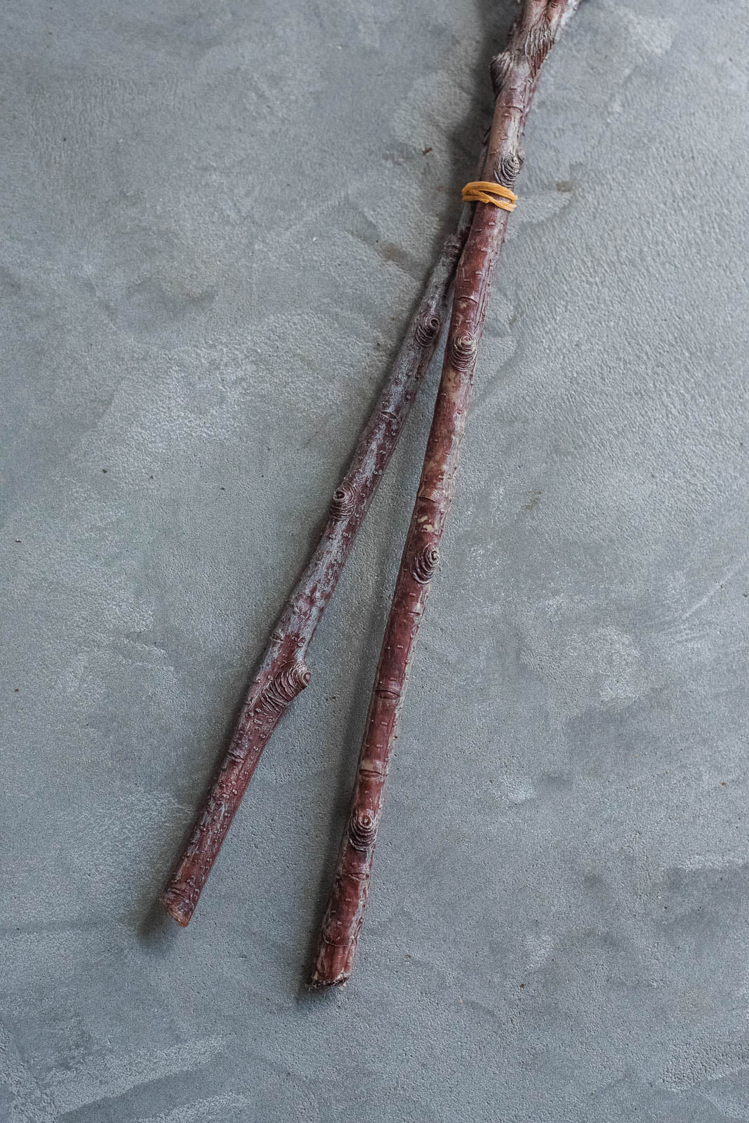 Birch Branches 100cm Natural Set of 2