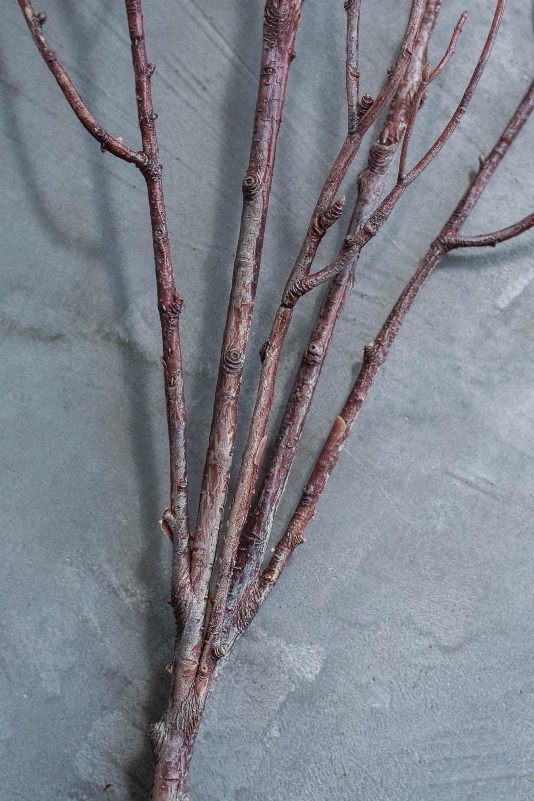Birch Branches 100cm Natural Set of 2