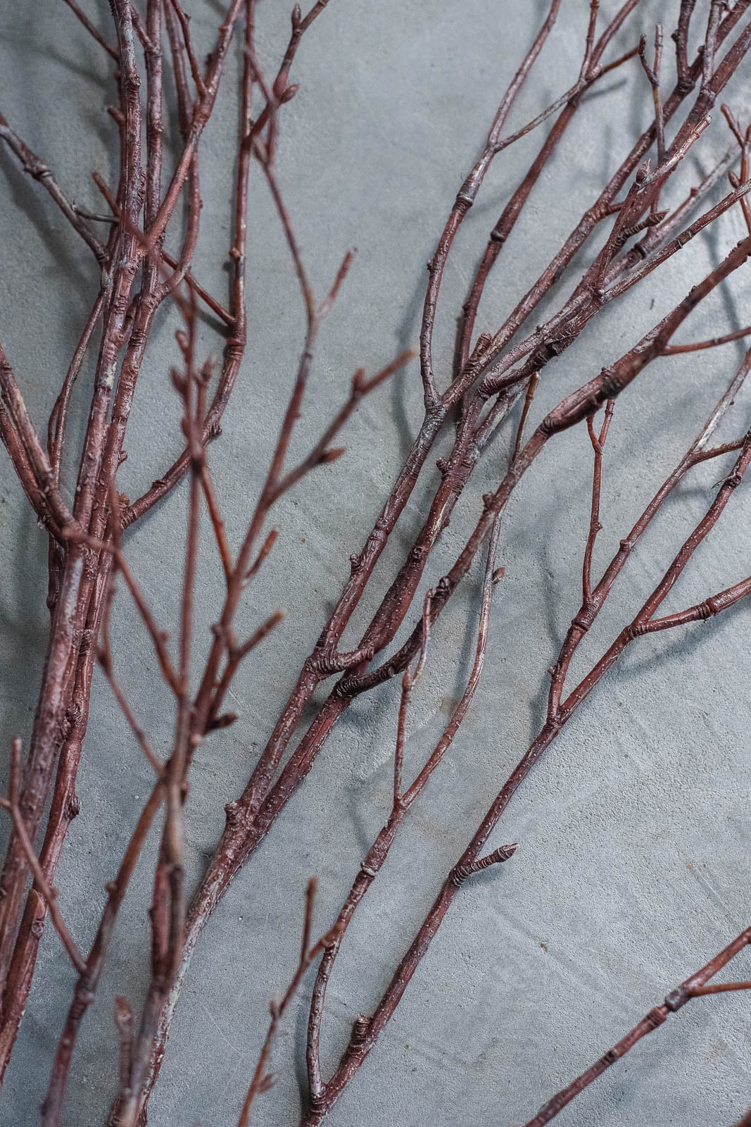 Birch Branches 100cm Natural Set of 2