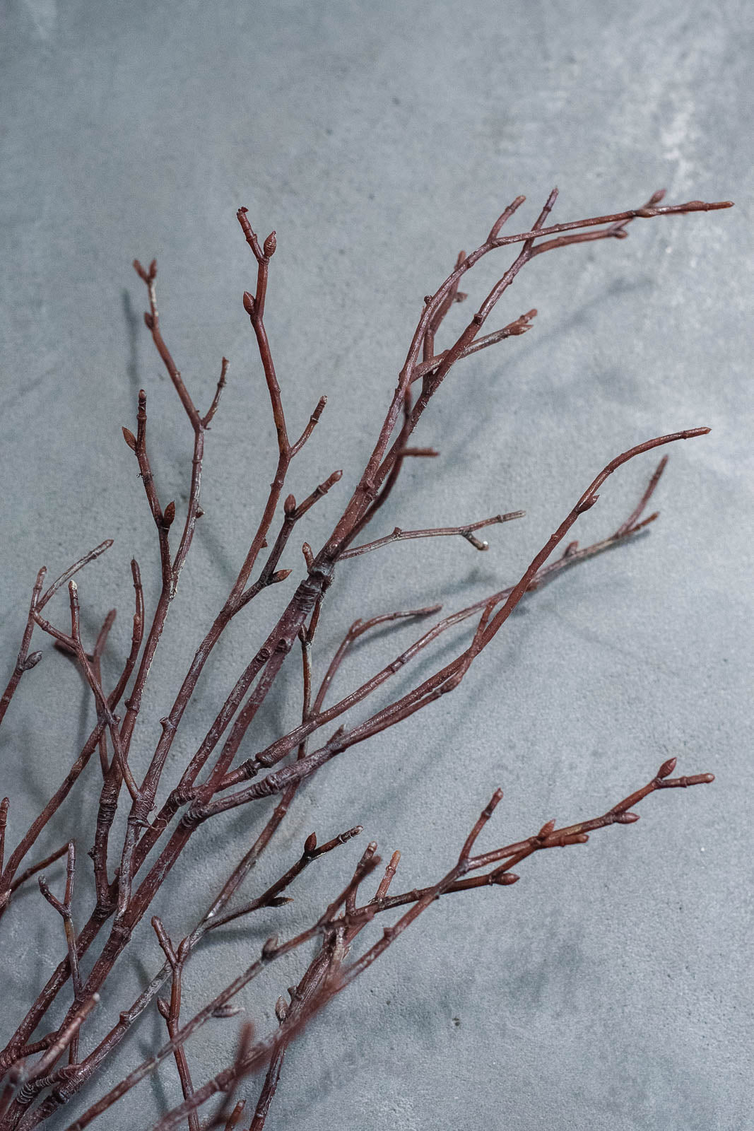 Birch Branches 100cm Natural Set of 2