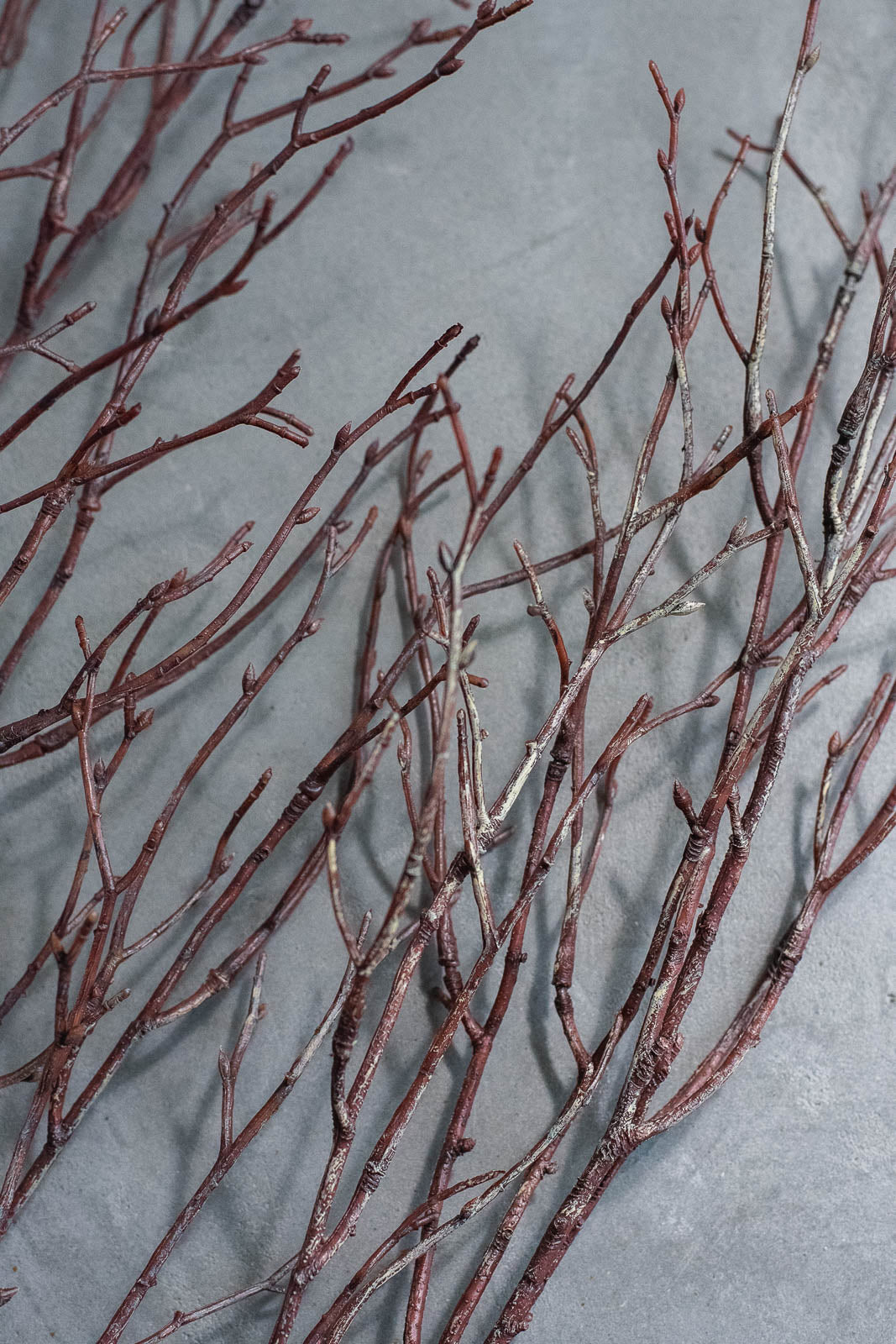 Birch Branches 100cm Natural Set of 2