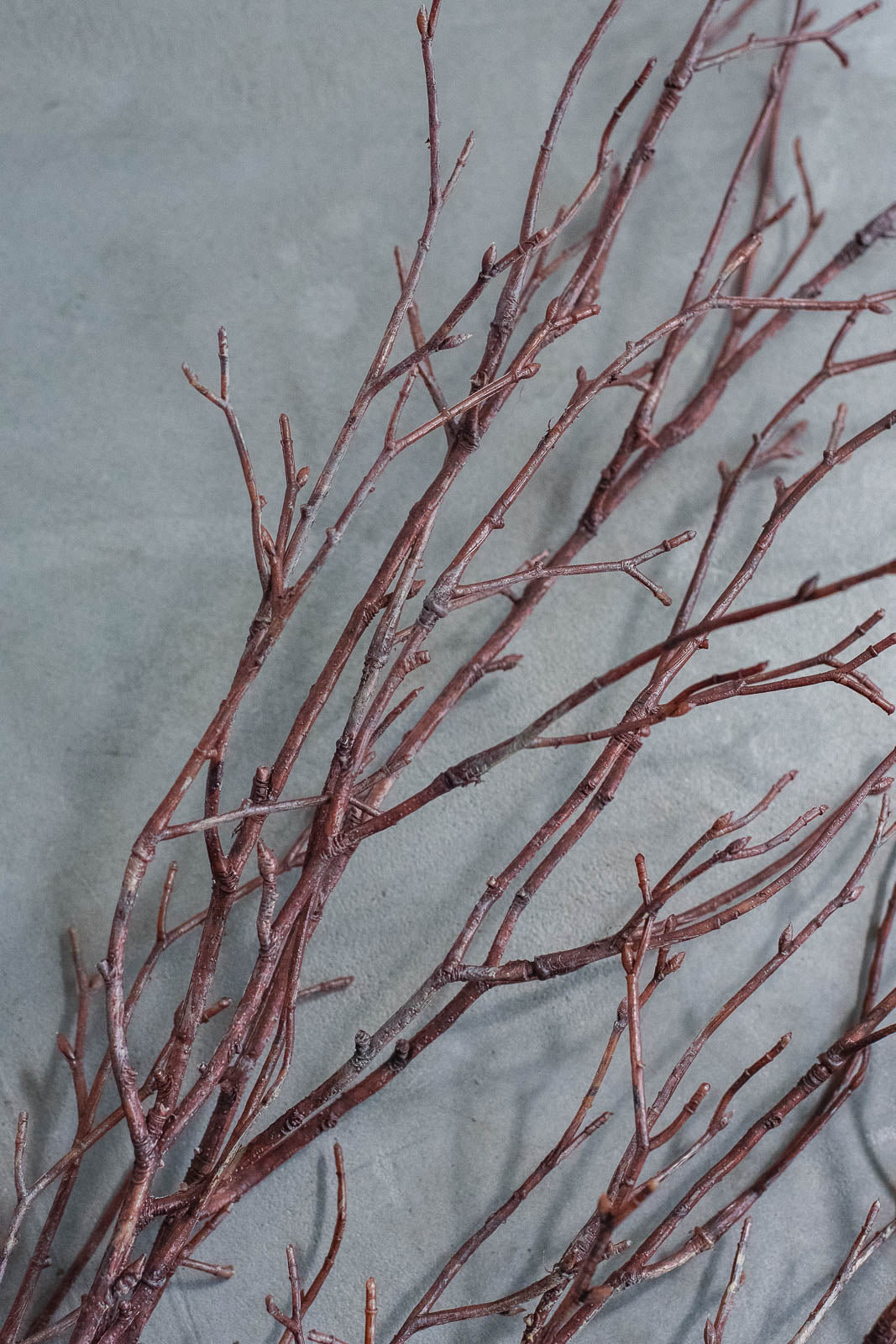 Birch Branches 100cm Natural Set of 2