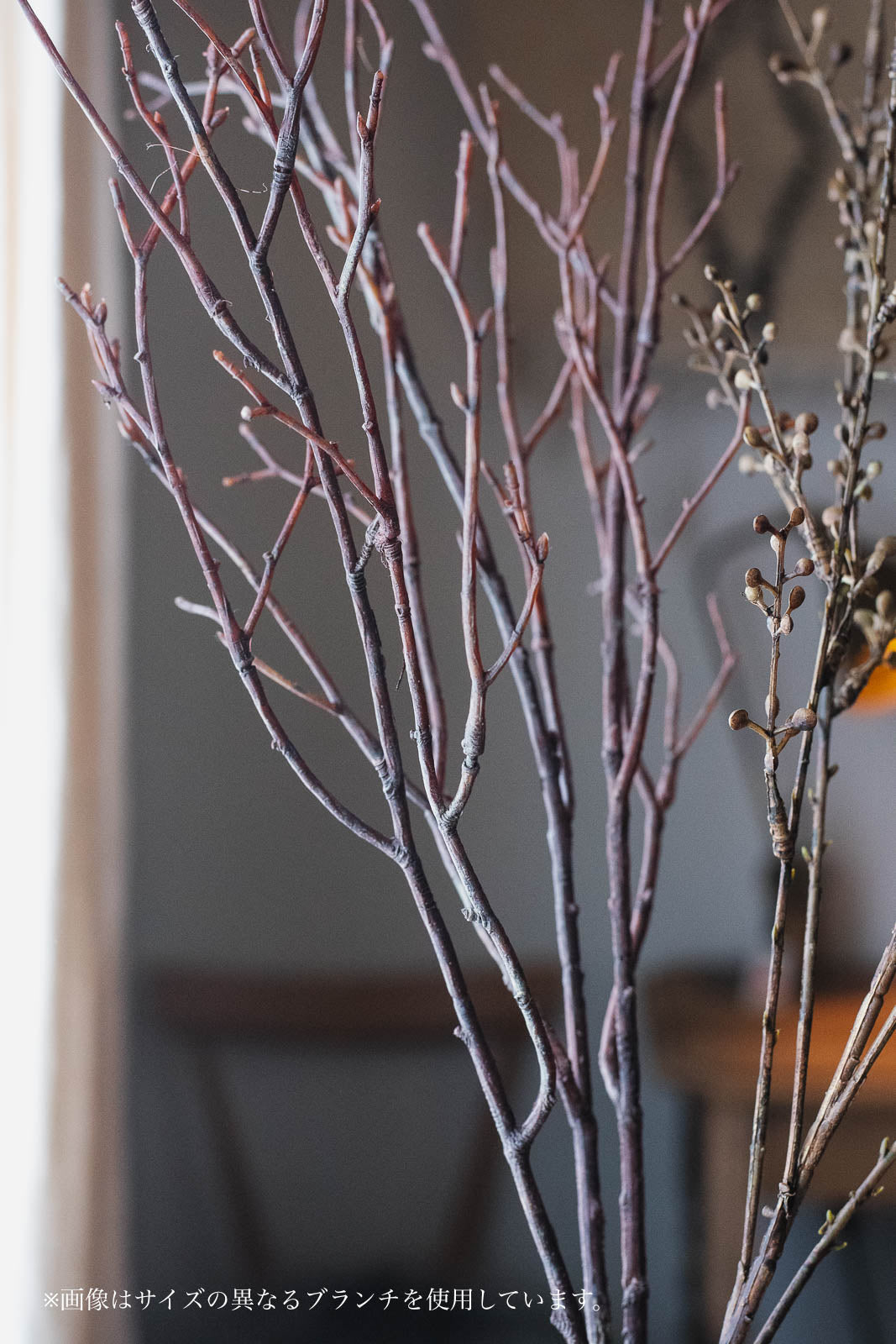 Birch Branches 100cm Natural Set of 2