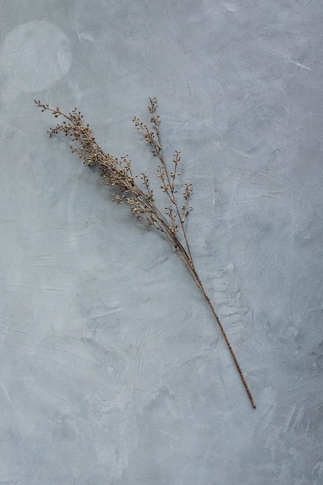 ベリーブランチ 88cm ブラウン