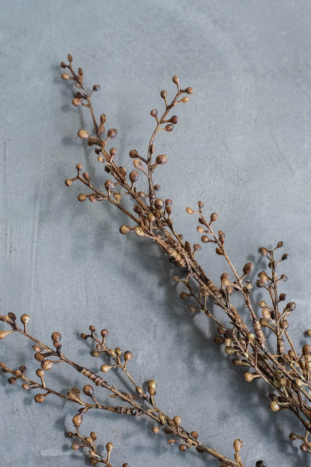 ベリーブランチ 88cm ブラウン