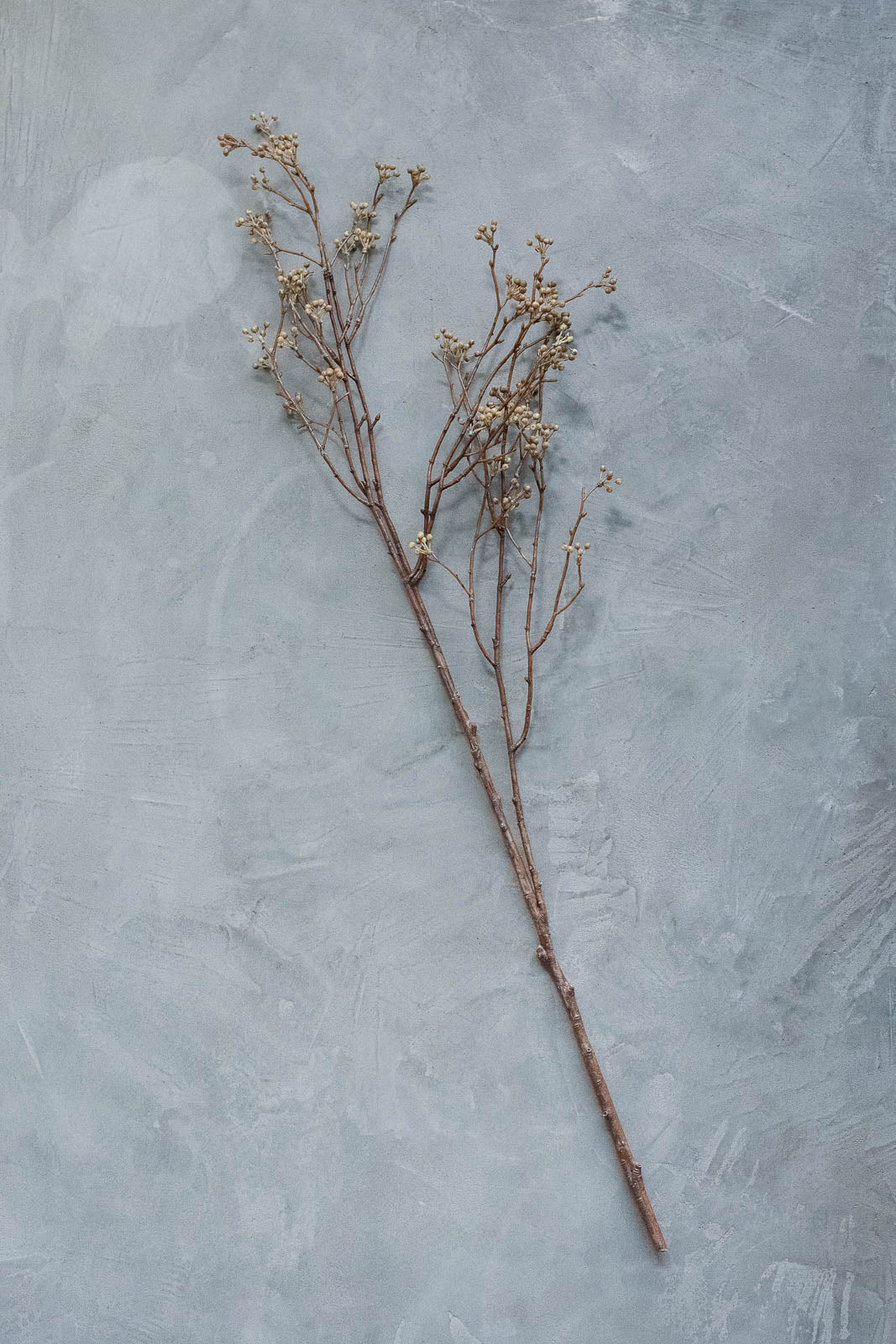 ベリーブランチ 100cm ブラウン
