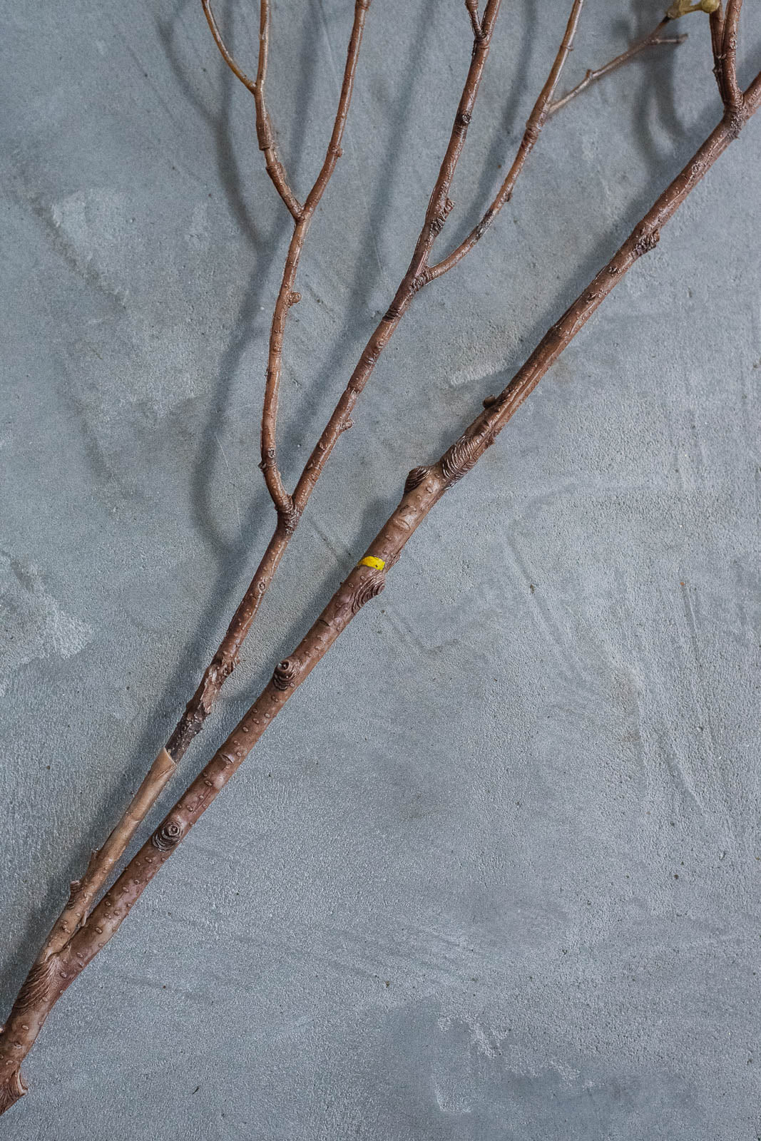 ベリーブランチ 100cm ブラウン