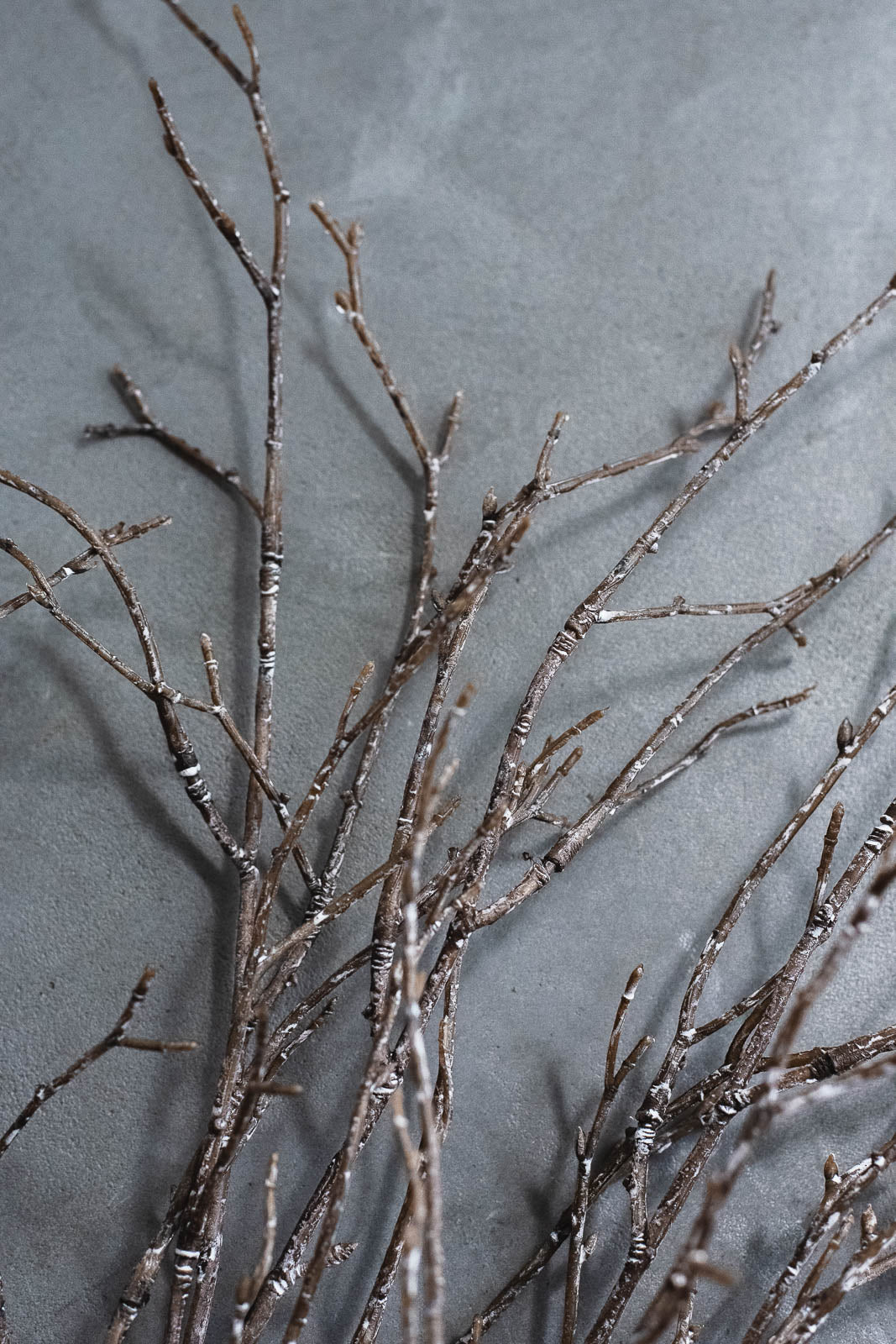 バーチブランチ 100cm ブラウン/ホワイト 2本セット