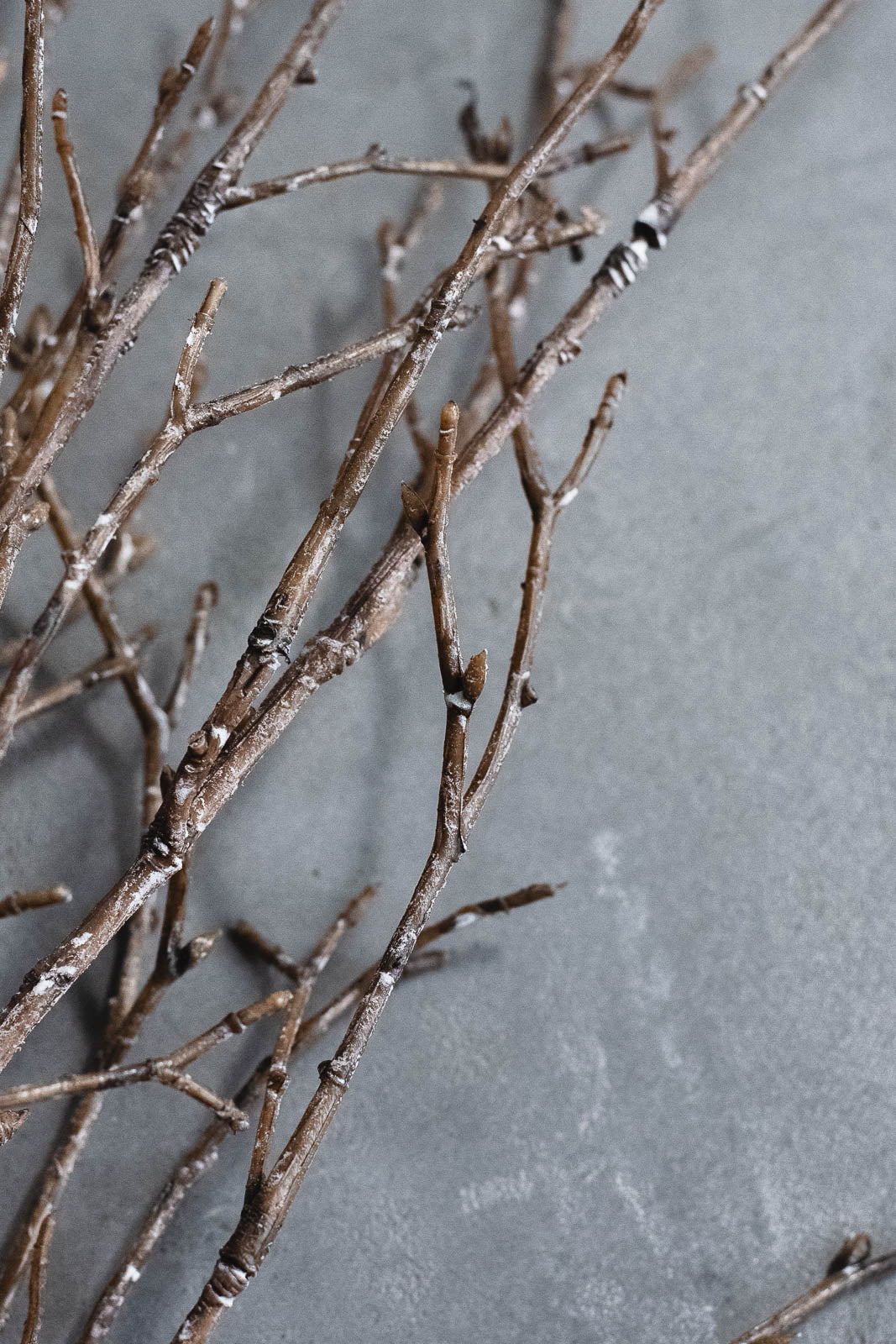 バーチブランチ 75cm ブラウン/ホワイト 3本セット