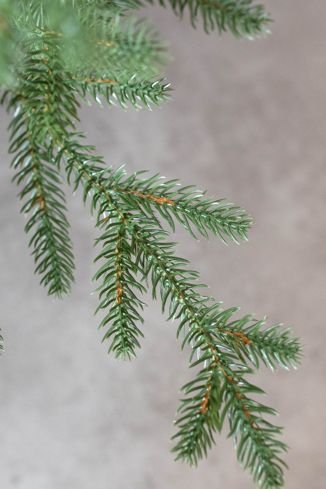 KIVI Tree 180cm | クリスマスツリー