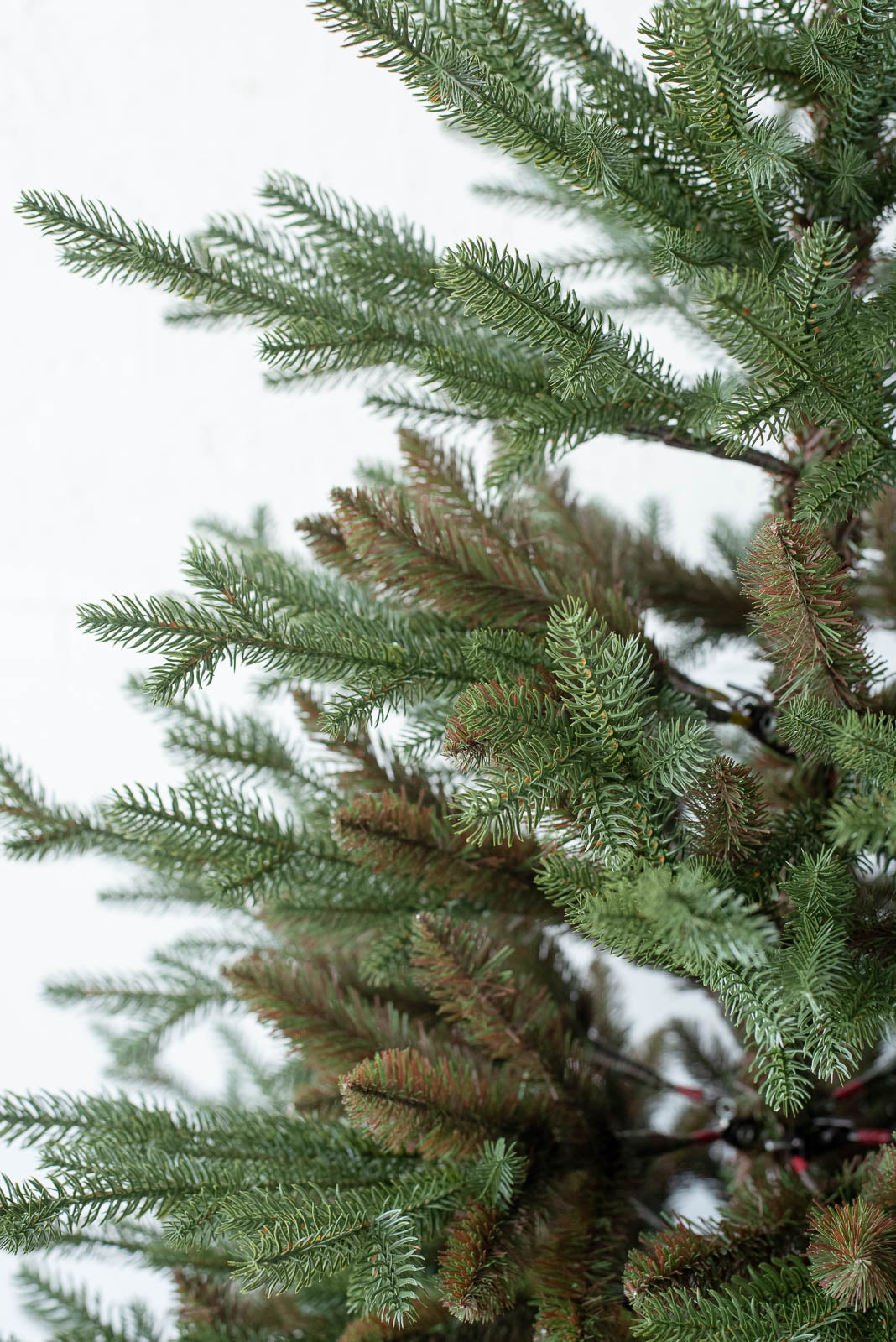 KIVI Tree 180cm | クリスマスツリー
