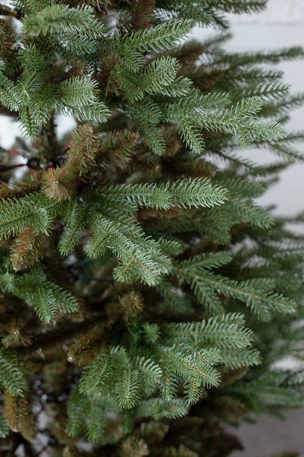 KIVI Tree 180cm | クリスマスツリー