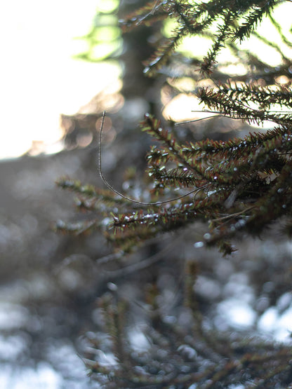 URHO Christmas Tree 170cm