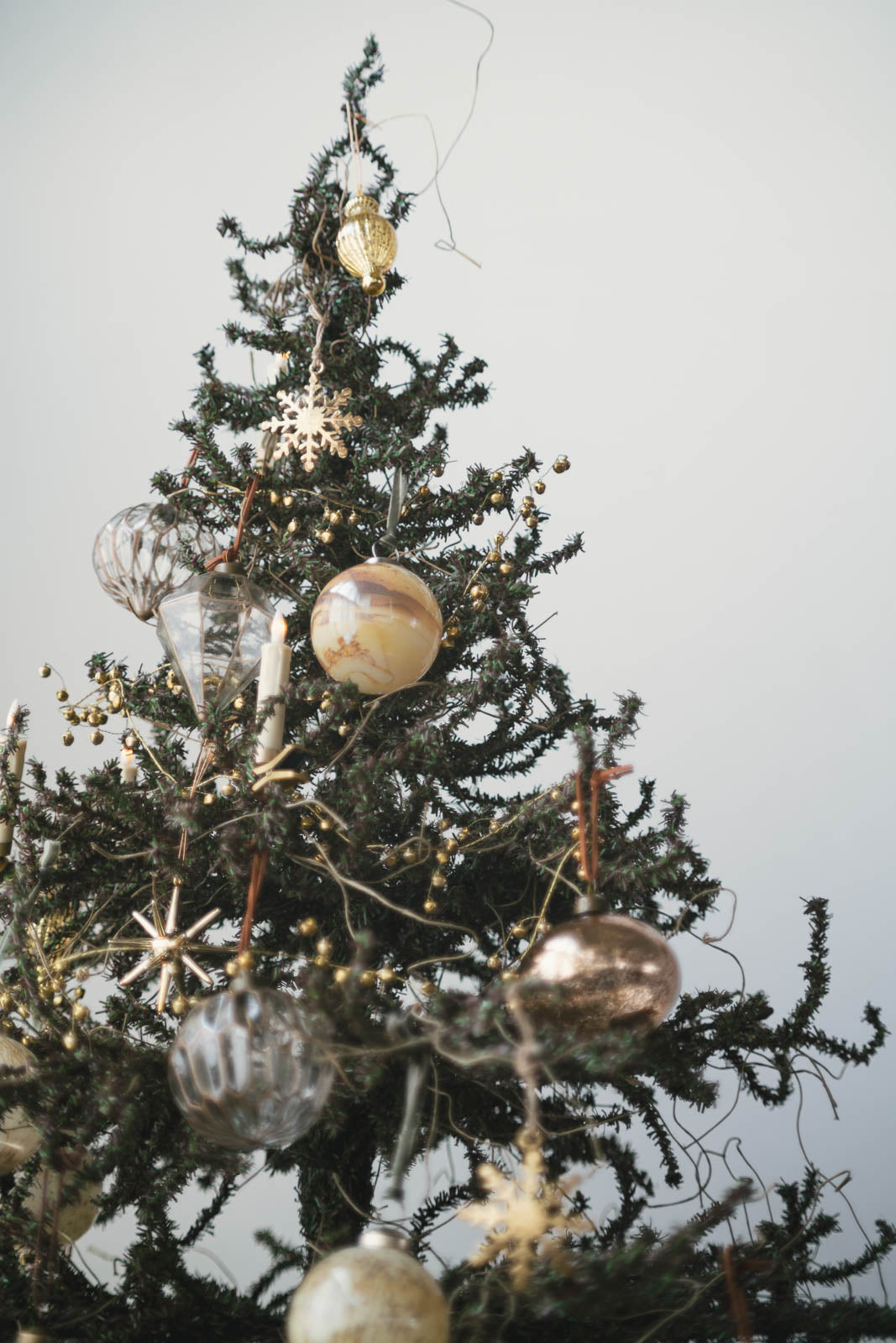 URHO Christmas Tree 170cm