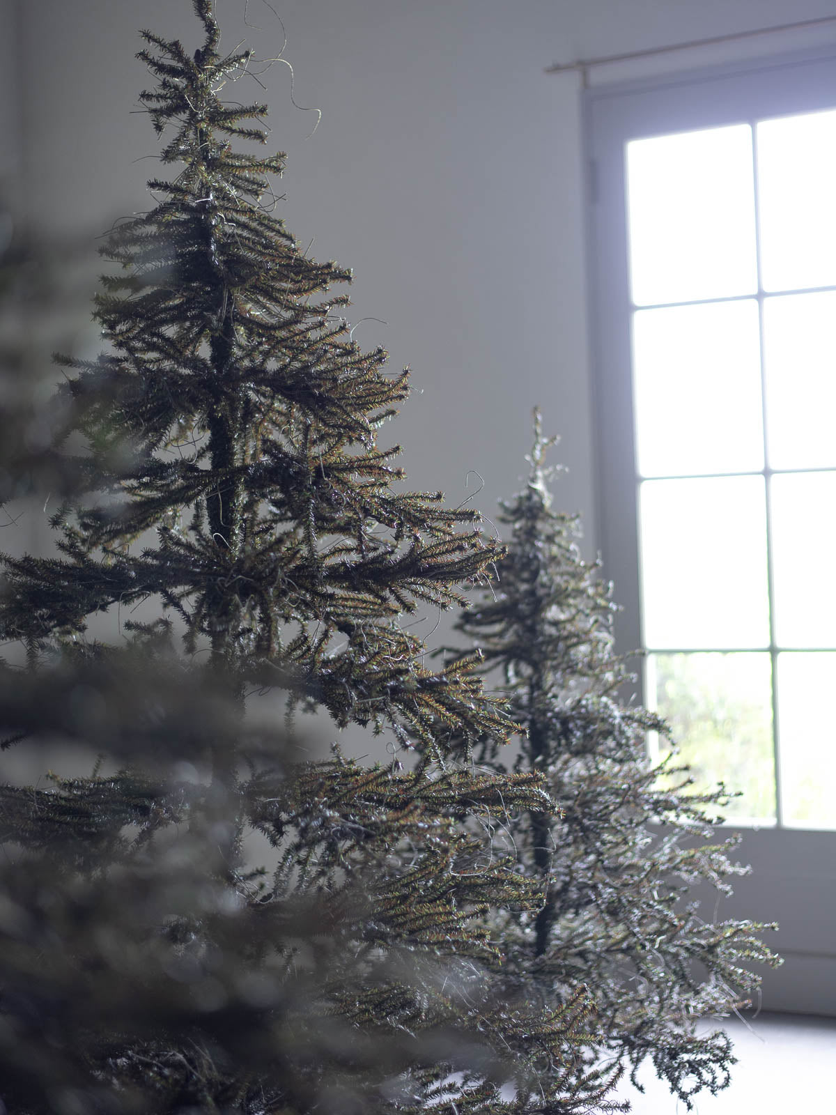 23003165_20240912_01.jpg?v=