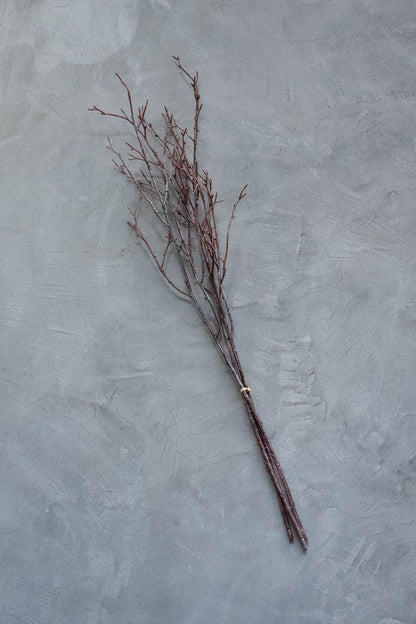 Birch Branches 75cm Natural Set of 3