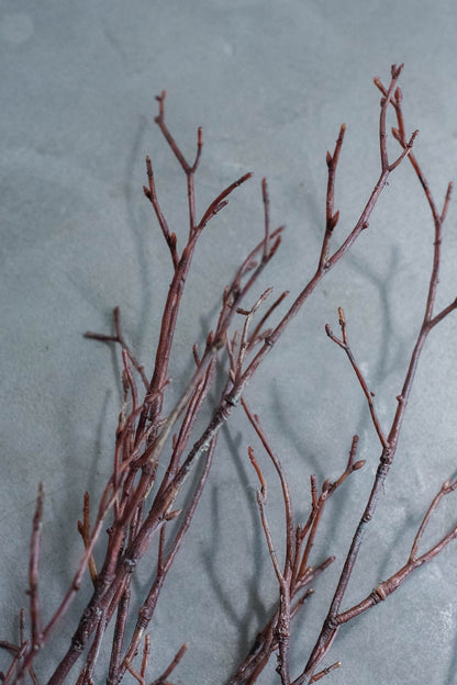 Birch Branches 75cm Natural Set of 3