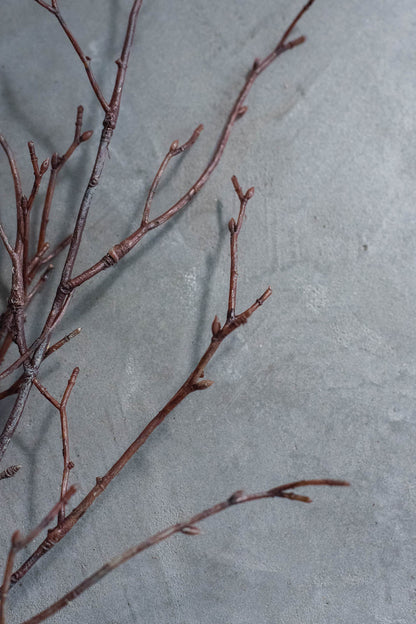 Birch Branches 75cm Natural Set of 3