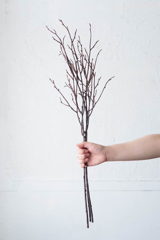 Birch Branches 75cm Natural Set of 3