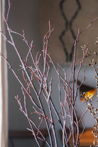 Birch Branches 75cm Natural Set of 3