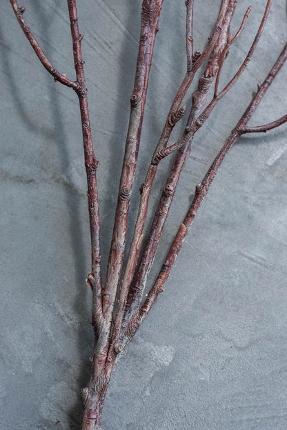 Birch Branches 100cm Natural Set of 2