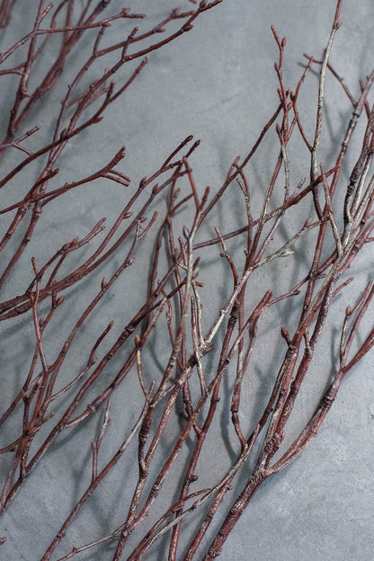 Birch Branches 100cm Natural Set of 2