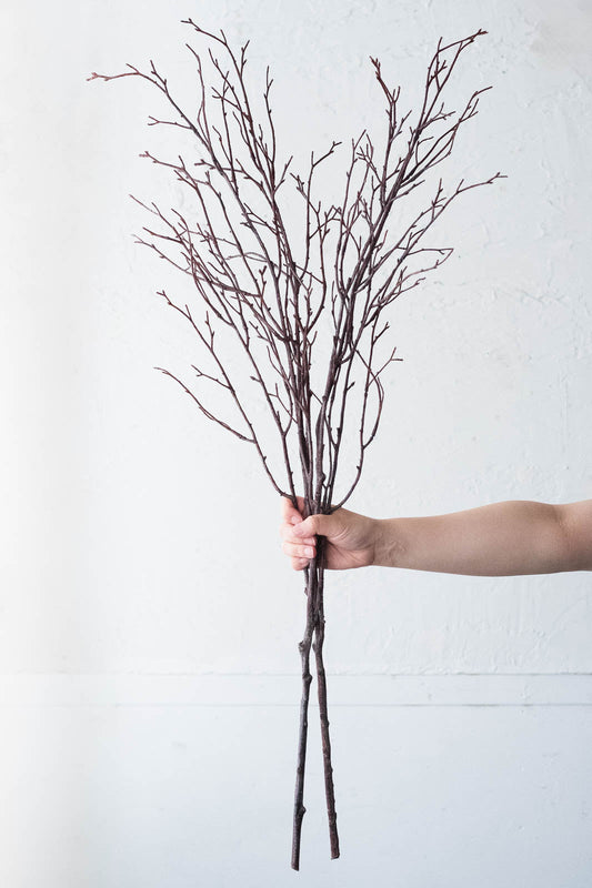 Birch Branches 100cm Natural Set of 2