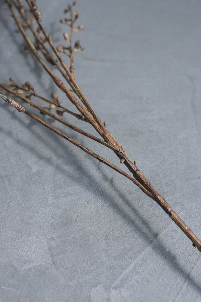 ベリーブランチ 88cm ブラウン