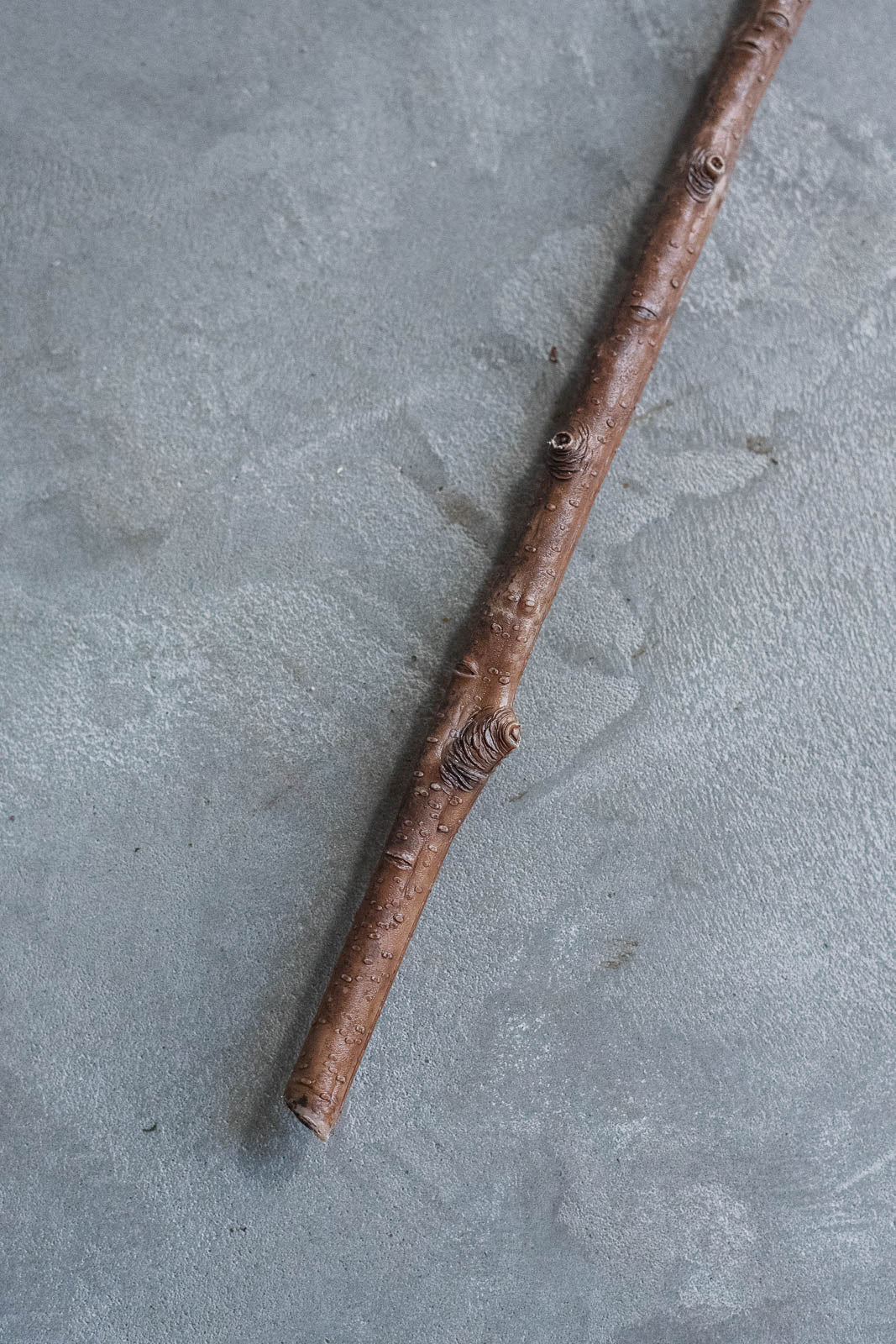 ベリーブランチ 100cm ブラウン