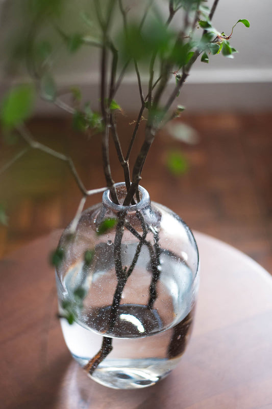 Fizzy Bulb  H26cm