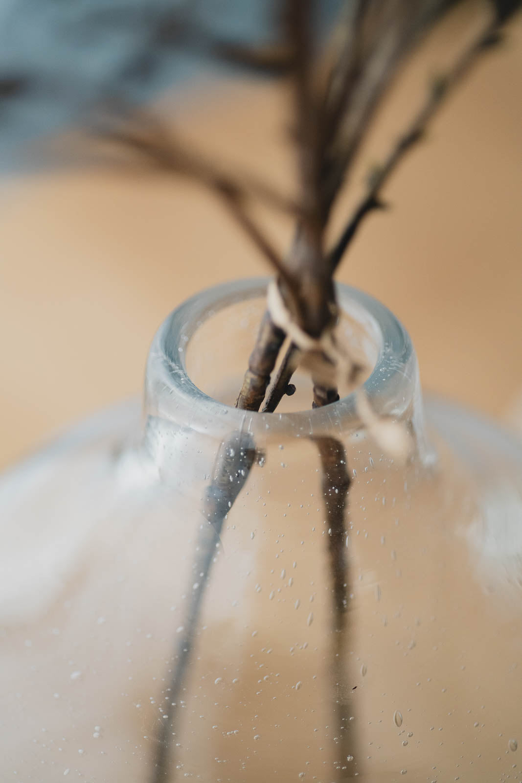 Fizzy Bulb  H26cm