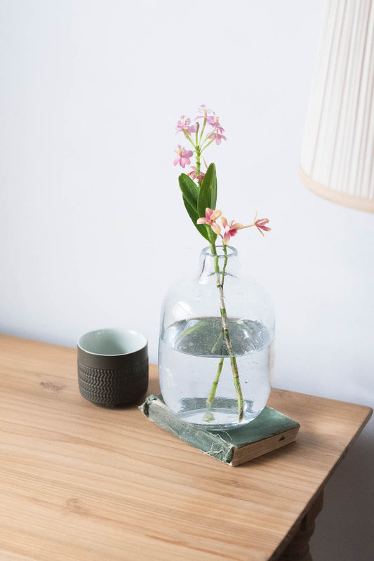 Fizzy Oval  H18cm