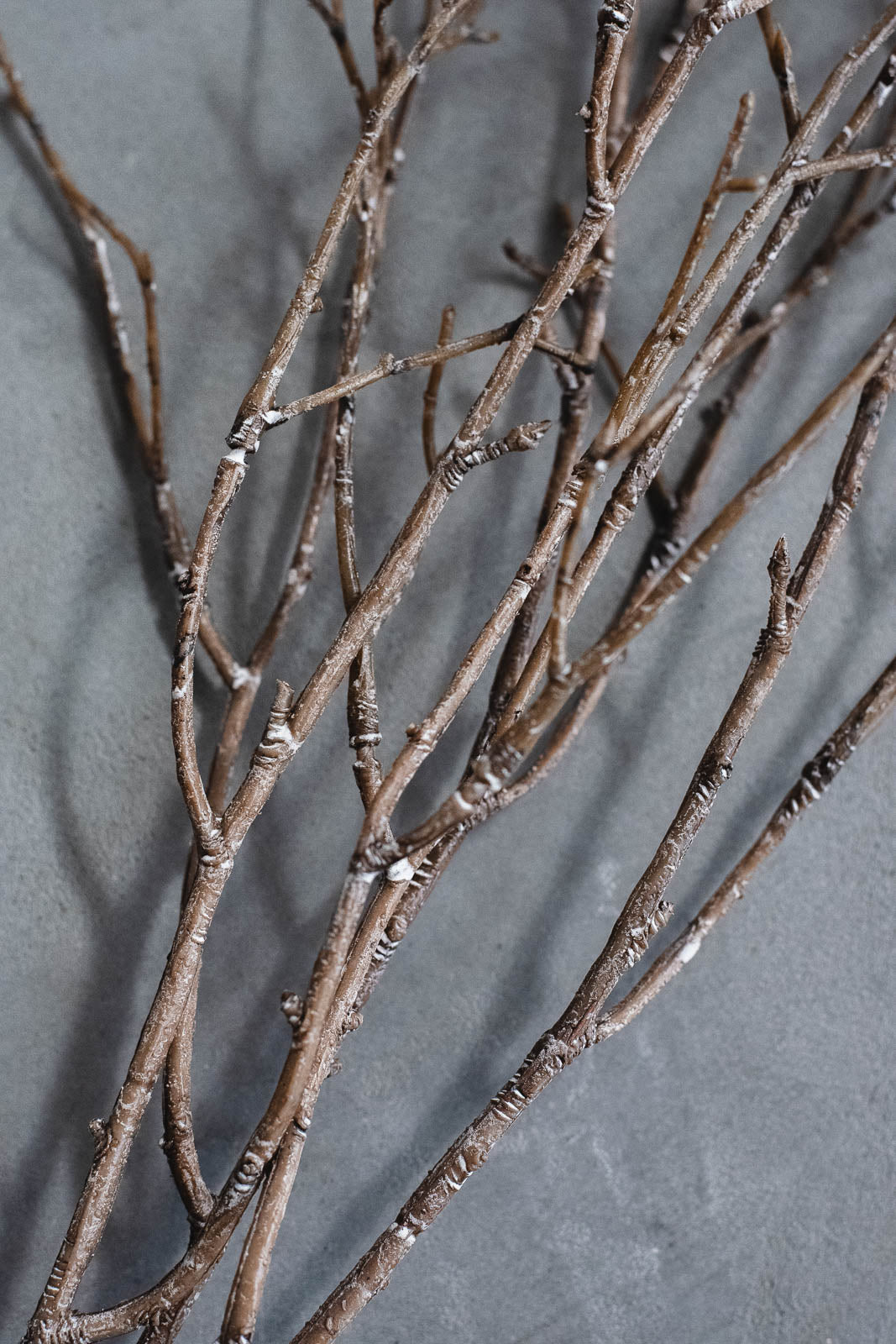 バーチブランチ 54cm ブラウン/ホワイト 3本セット