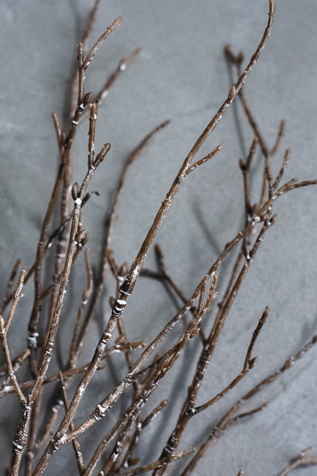 バーチブランチ 54cm ブラウン/ホワイト 3本セット