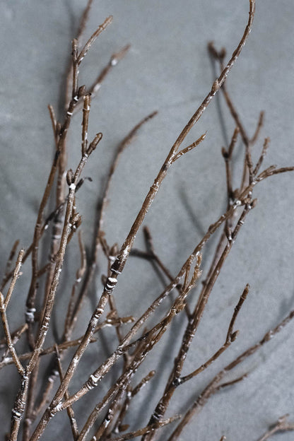 バーチブランチ 54cm ブラウン/ホワイト 3本セット