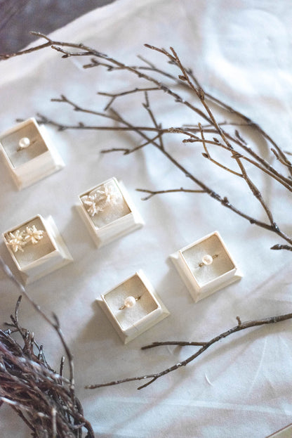 バーチブランチ 54cm ブラウン/ホワイト 3本セット