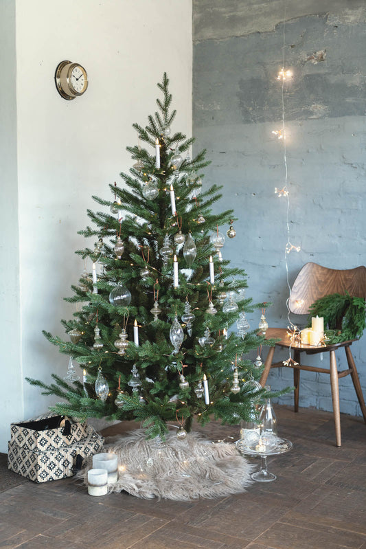 KIVI Tree 150cm | クリスマスツリー
