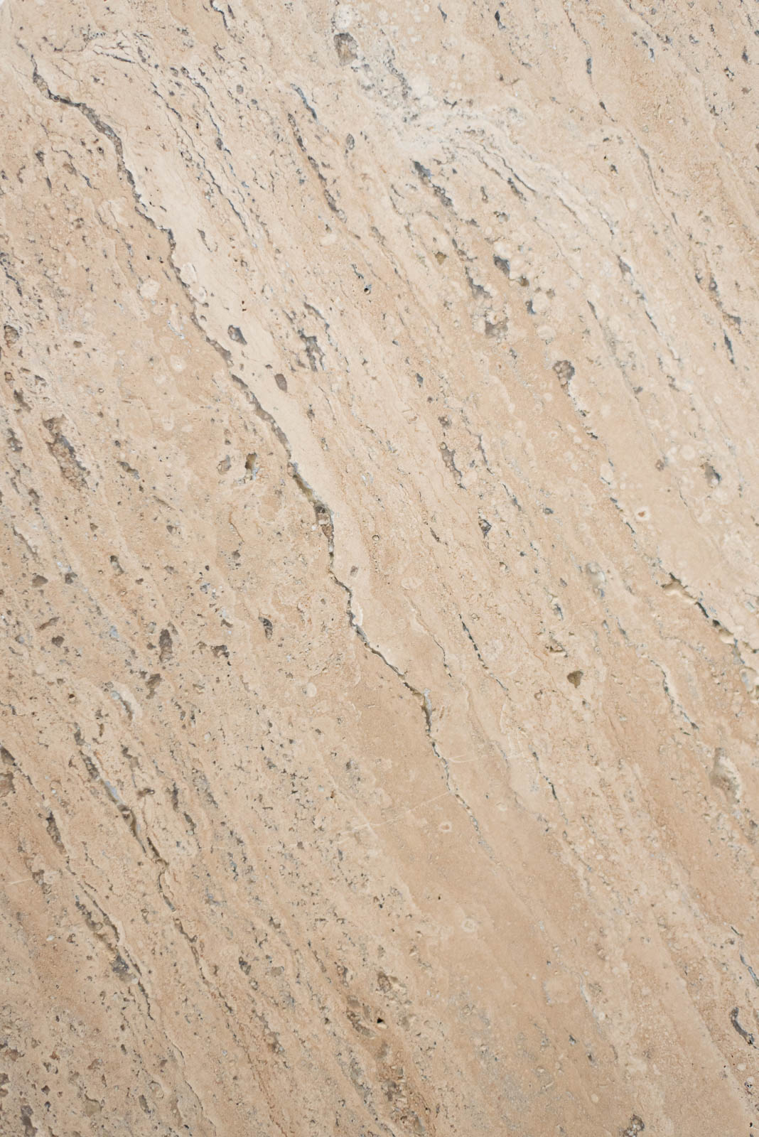 sed/met Cross Table φ750 Low | コーヒーテーブル